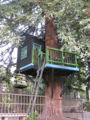 Classic Treehouse