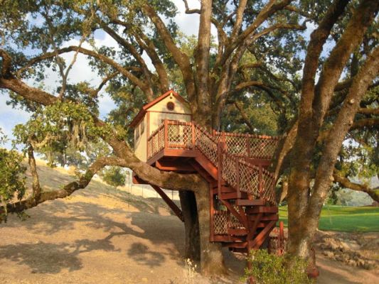 Coyote Valley Treehouse