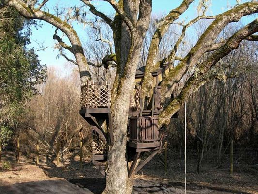 Escalade Tree Fort