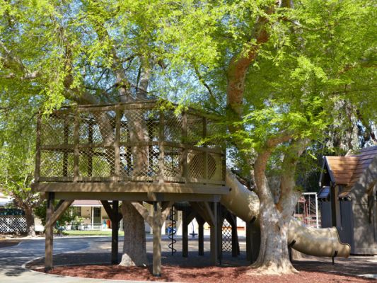 Hillbrook Treehouse