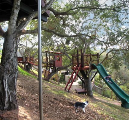 Hillside Tree Forts