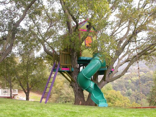 Los Gatos Treehouse