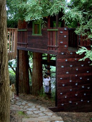 Magic Treehouse