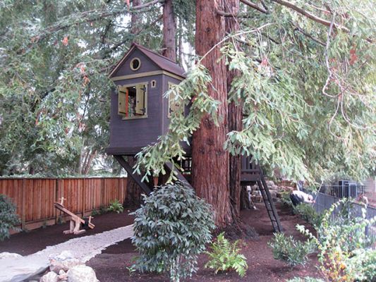 Redwood Treehouse