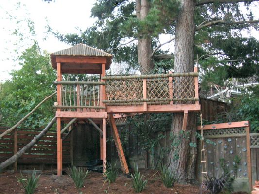 Log Lookout