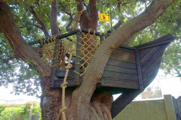 Ship in a Tree